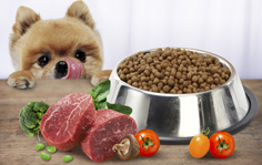 Pet food