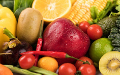 Vegetable and Fruit powde