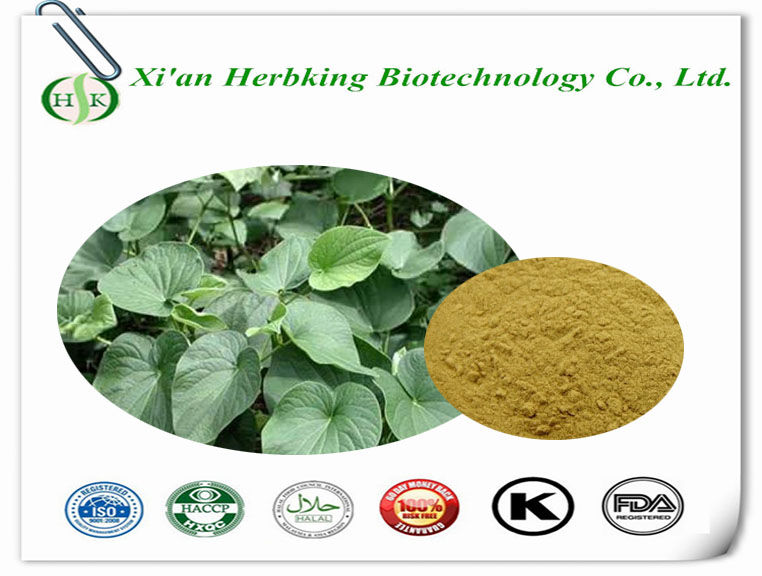 Anti-fatigue/depression .....Kava extract-Anti-fatigue/depression-Hairdressing & Bodycare materials-XI'AN HERBKING BIOTECHNOLOGY CO.,LTD